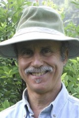 Lee A. Reich